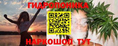 прущие грибы Краснокаменск