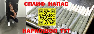 гашик Краснодар