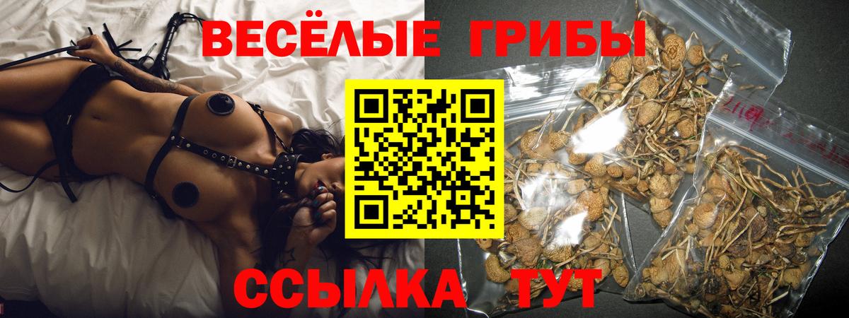 Камень-на-Оби  Галлюциногенные грибы Psilocybine cubensis  Вход с VPN  Галлюциногенные грибы MAGIC MUSHROOMS 